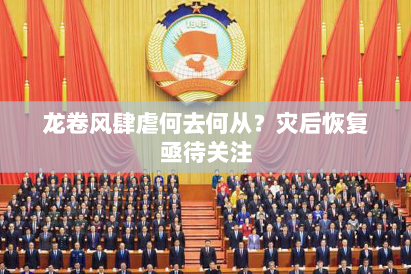 龙卷风肆虐何去何从？灾后恢复亟待关注