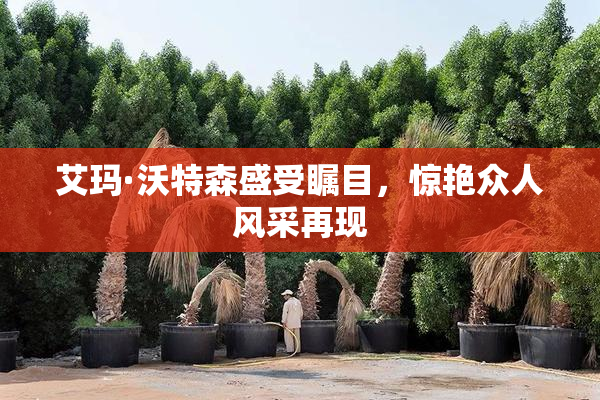 艾玛·沃特森盛受瞩目，惊艳众人风采再现