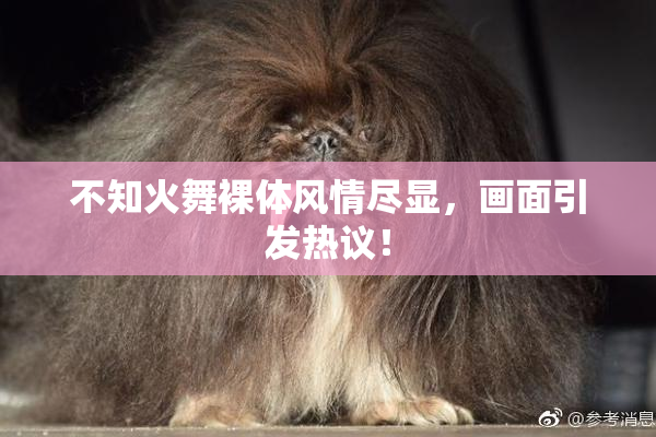 不知火舞裸体风情尽显，画面引发热议！