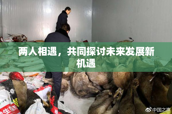 两人相遇，共同探讨未来发展新机遇