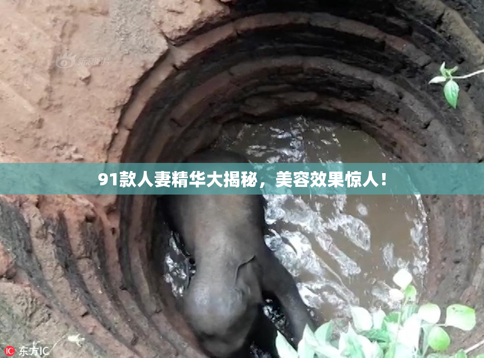 91款人妻精华大揭秘，美容效果惊人！
