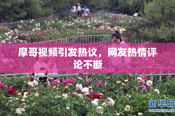 摩哥视频引发热议，网友热情评论不断