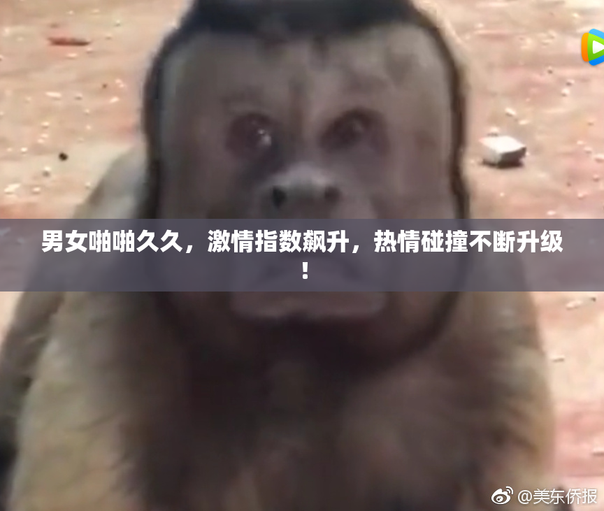 男女啪啪久久，激情指数飙升，热情碰撞不断升级！