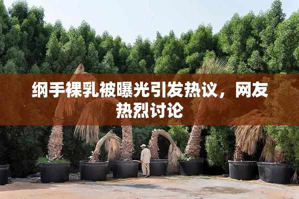 纲手裸乳被曝光引发热议，网友热烈讨论