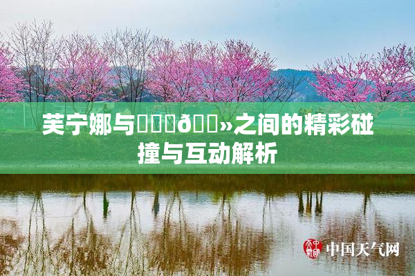 芙宁娜与❌‌‌🐻之间的精彩碰撞与互动解析