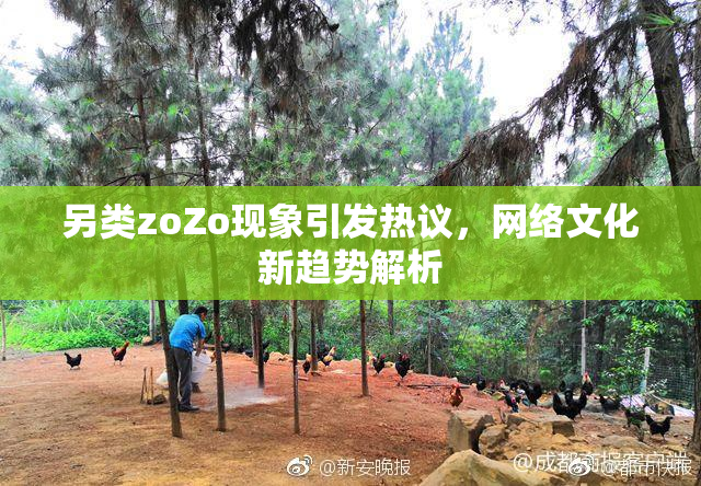 另类zoZo现象引发热议，网络文化新趋势解析