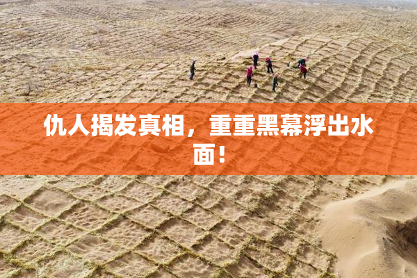 仇人揭发真相，重重黑幕浮出水面！