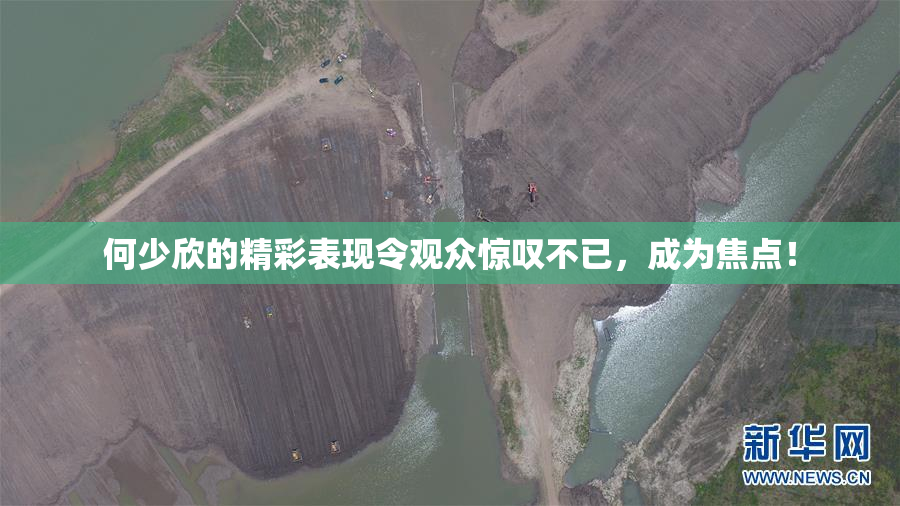 何少欣的精彩表现令观众惊叹不已，成为焦点！
