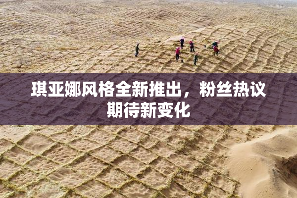 琪亚娜风格全新推出，粉丝热议期待新变化