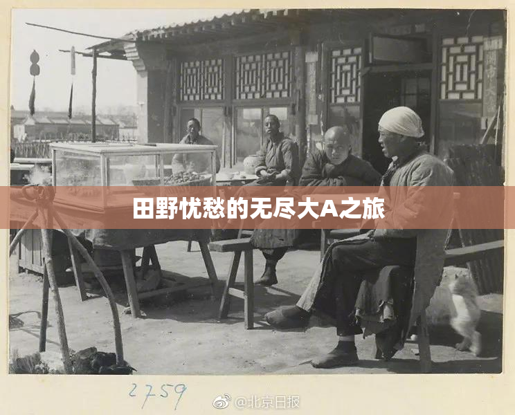 田野忧愁的无尽大A之旅