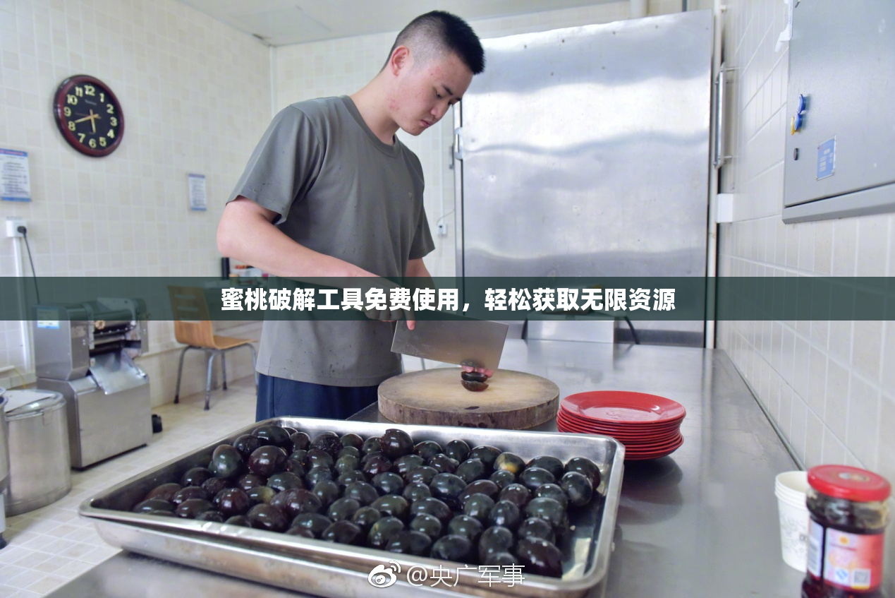 蜜桃破解工具免费使用，轻松获取无限资源