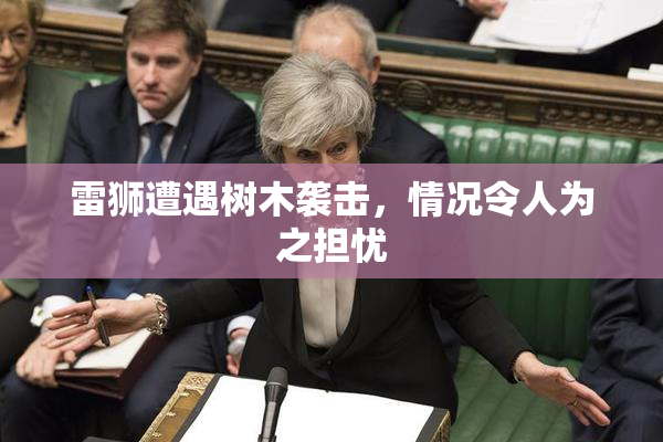 雷狮遭遇树木袭击，情况令人为之担忧