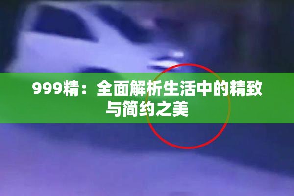 999精：全面解析生活中的精致与简约之美