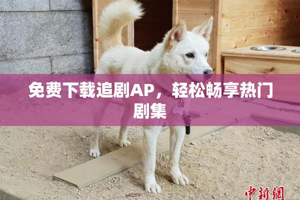 免费下载追剧AP，轻松畅享热门剧集