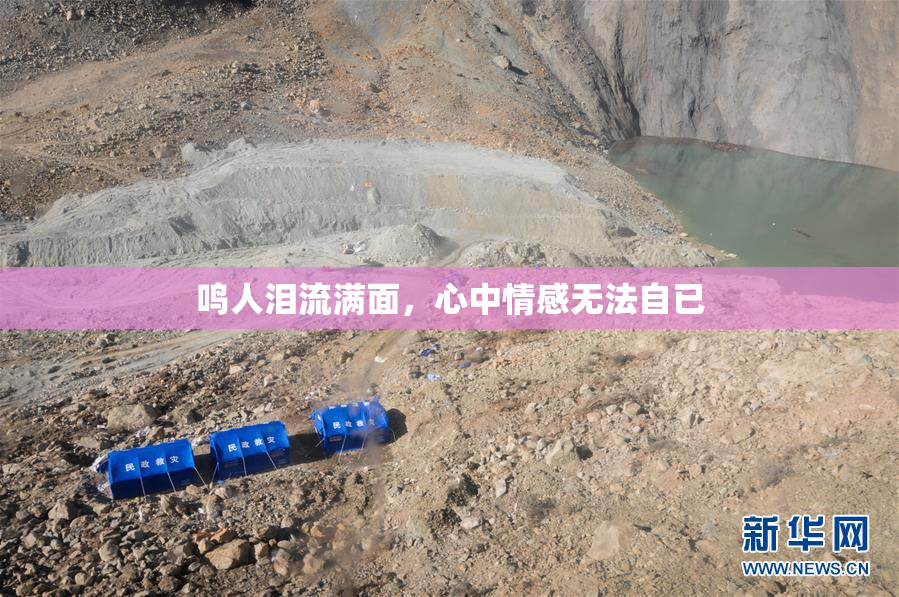 鸣人泪流满面，心中情感无法自已