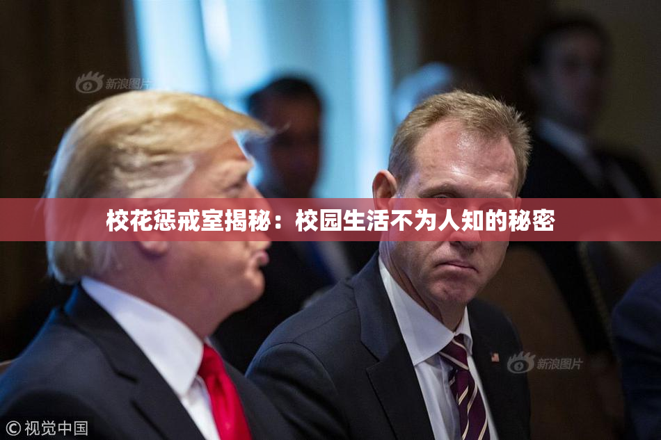 校花惩戒室揭秘：校园生活不为人知的秘密