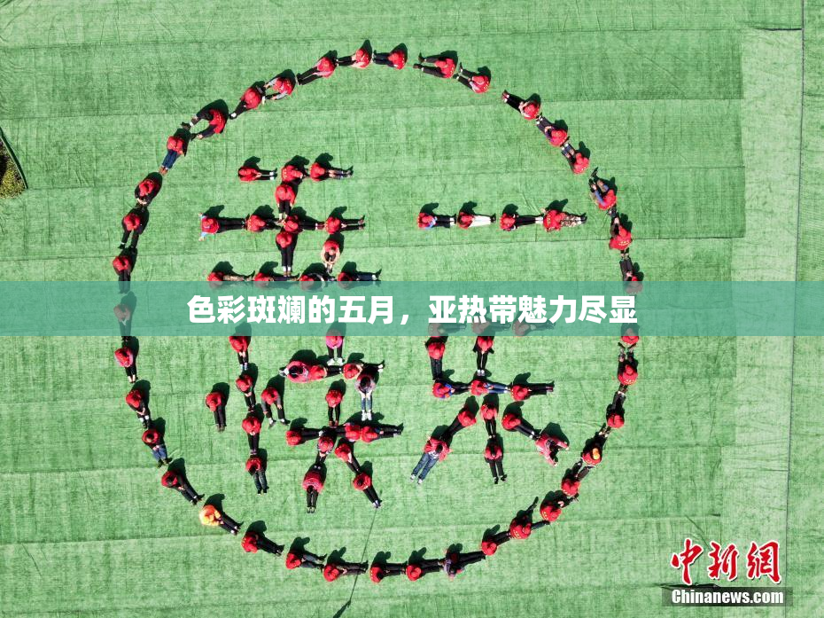 色彩斑斓的五月，亚热带魅力尽显