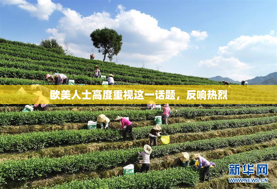 欧美人士高度重视这一话题，反响热烈