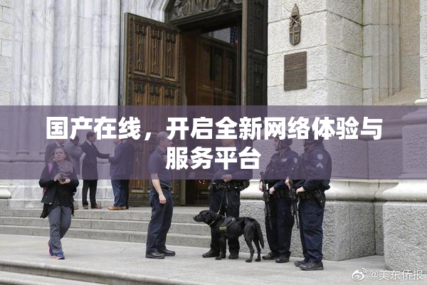 国产在线，开启全新网络体验与服务平台