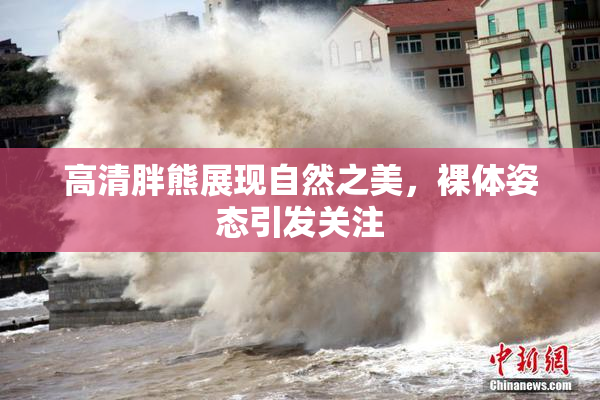 高清胖熊展现自然之美，裸体姿态引发关注