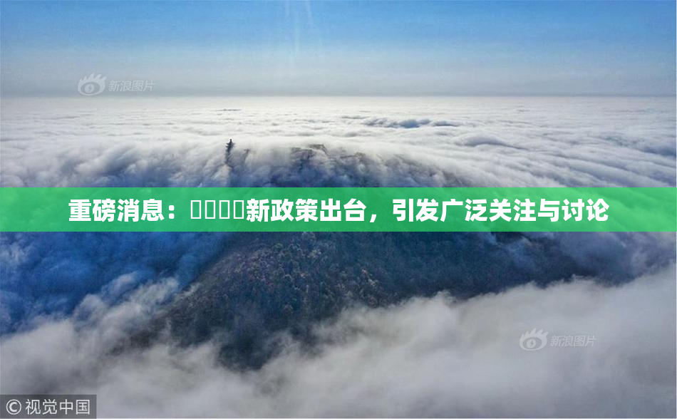 重磅消息：馃悢馃悢新政策出台，引发广泛关注与讨论
