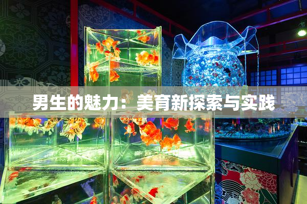 男生的魅力：美育新探索与实践