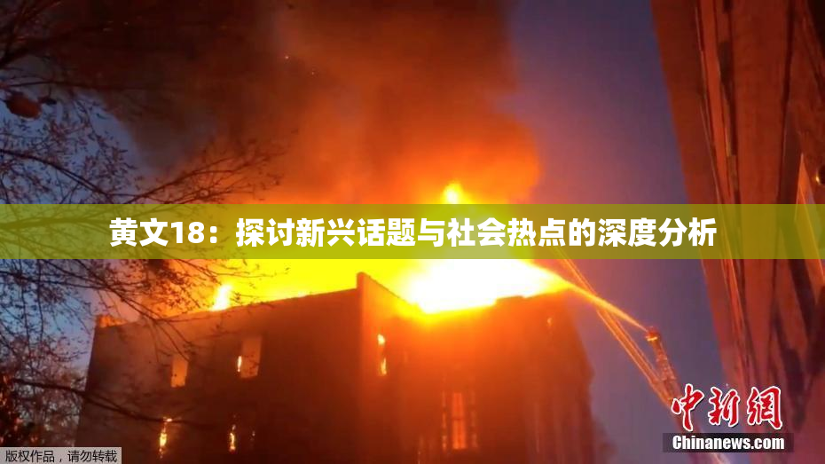 黄文18：探讨新兴话题与社会热点的深度分析