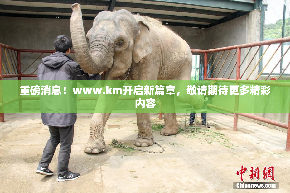 重磅消息！www.km开启新篇章，敬请期待更多精彩内容