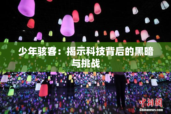 少年骇客：揭示科技背后的黑暗与挑战