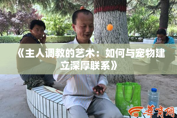 《主人调教的艺术：如何与宠物建立深厚联系》