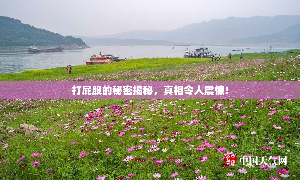 打屁股的秘密揭秘，真相令人震惊！