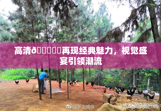 高清🔞❌‌再现经典魅力，视觉盛宴引领潮流