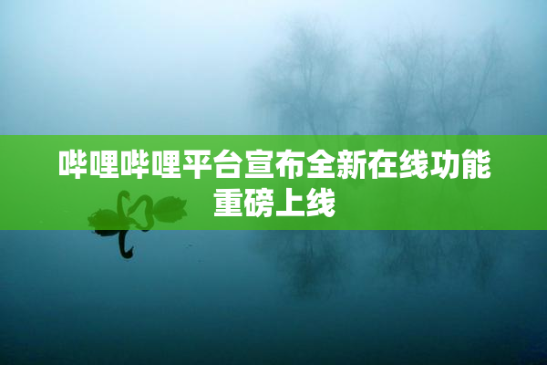 哔哩哔哩平台宣布全新在线功能重磅上线