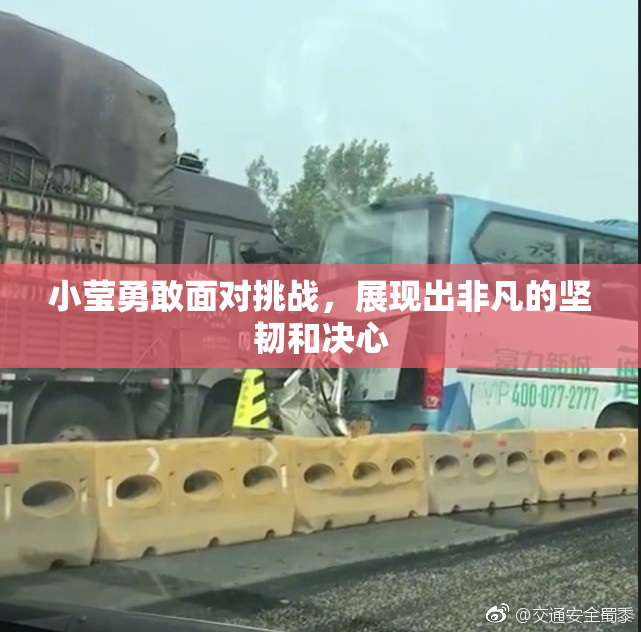 小莹勇敢面对挑战，展现出非凡的坚韧和决心