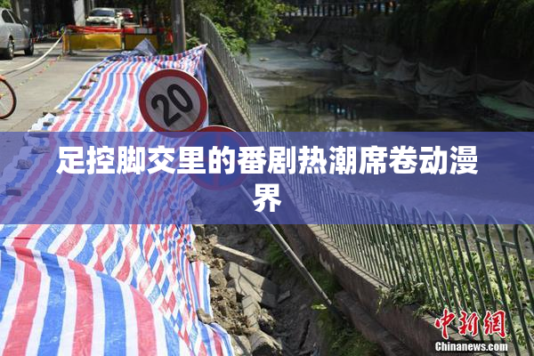 足控脚交里的番剧热潮席卷动漫界
