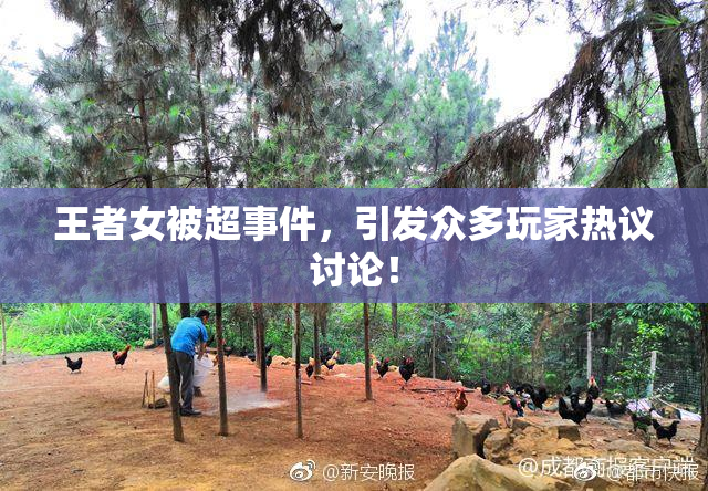 王者女被超事件，引发众多玩家热议讨论！