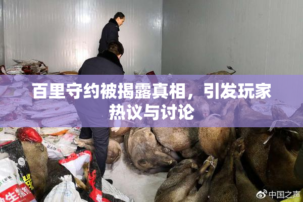 百里守约被揭露真相，引发玩家热议与讨论