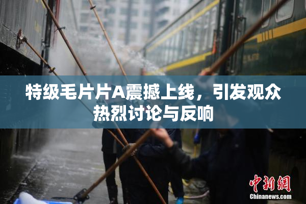 特级毛片片A震撼上线，引发观众热烈讨论与反响