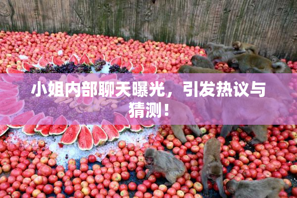 小姐内部聊天曝光，引发热议与猜测！