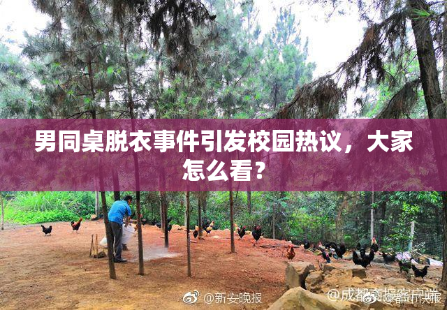 男同桌脱衣事件引发校园热议，大家怎么看？