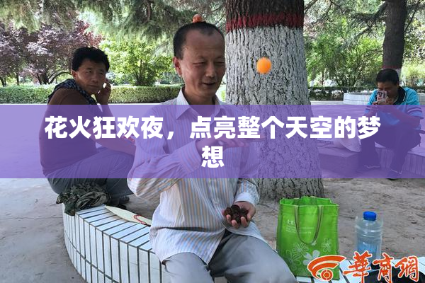 花火狂欢夜，点亮整个天空的梦想
