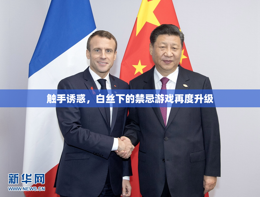 触手诱惑，白丝下的禁忌游戏再度升级