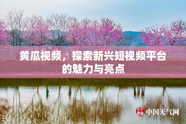 黄瓜视频，探索新兴短视频平台的魅力与亮点