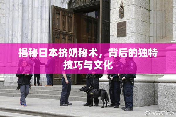 揭秘日本挤奶秘术，背后的独特技巧与文化