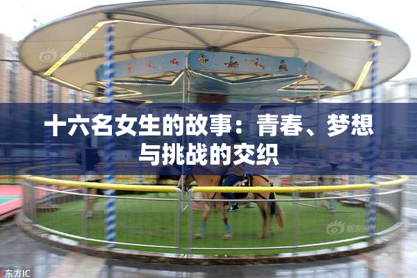 十六名女生的故事：青春、梦想与挑战的交织