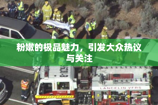 粉嫩的极品魅力，引发大众热议与关注