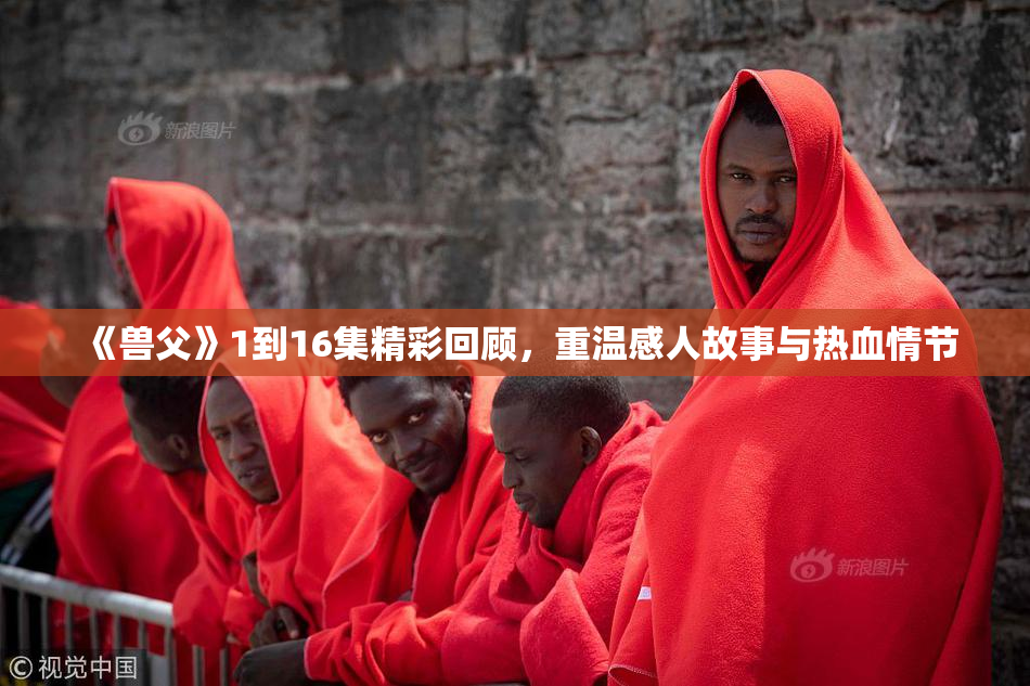 《兽父》1到16集精彩回顾，重温感人故事与热血情节