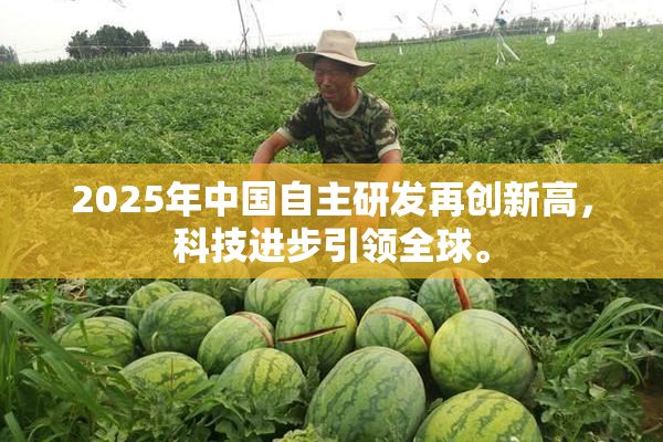 2025年中国自主研发再创新高，科技进步引领全球。