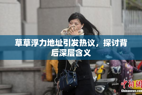 草草浮力地址引发热议，探讨背后深层含义