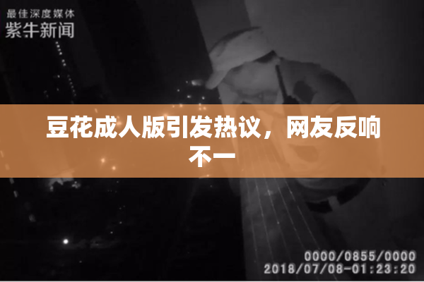 豆花成人版引发热议，网友反响不一